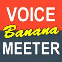 VoiceMeeter Banana Game