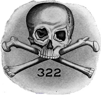 Skull and Bones Game